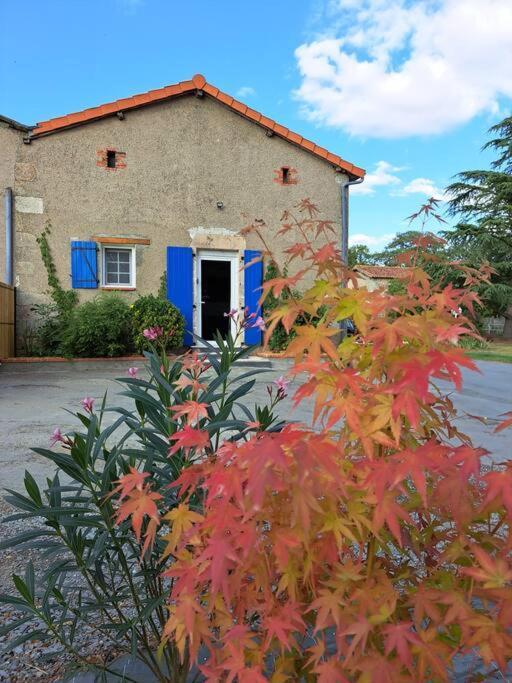 Gite Marguerite - Au Coeur De La Campagne La Petite-Boissiere Exteriér fotografie